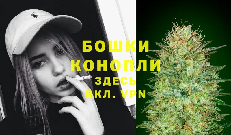 кракен зеркало  где купить наркотик  Великий Новгород  Каннабис SATIVA & INDICA 